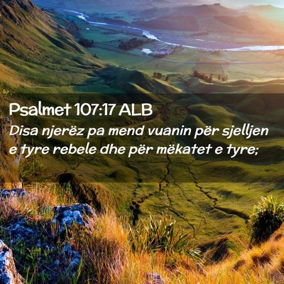 Picture 02 - Psalmet 107:17 ALB - Disa njerëz pa mend vuanin për sjelljen e tyre - Bible Verse Picture