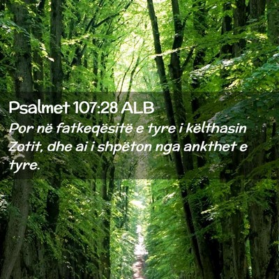Picture 02 - Psalmet 107:28 ALB - Por në fatkeqësitë e tyre i këlthasin Zotit, - Bible Verse Picture
