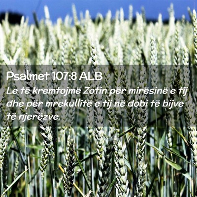 Picture 02 - Psalmet 107:8 ALB - Le të kremtojmë Zotin për mirësinë e tij dhe - Bible Verse Picture