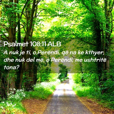 Picture 02 - Psalmet 108:11 ALB - A nuk je ti, o Perëndi, që na ke kthyer, dhe - Bible Verse Picture