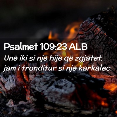 Picture 02 - Psalmet 109:23 ALB - Unë iki si një hije që zgjatet, jam i - Bible Verse Picture