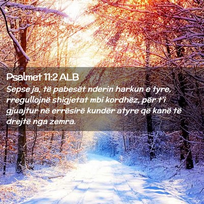 Picture 02 - Psalmet 11:2 ALB - Sepse ja, të pabesët nderin harkun e tyre, - Bible Verse Picture