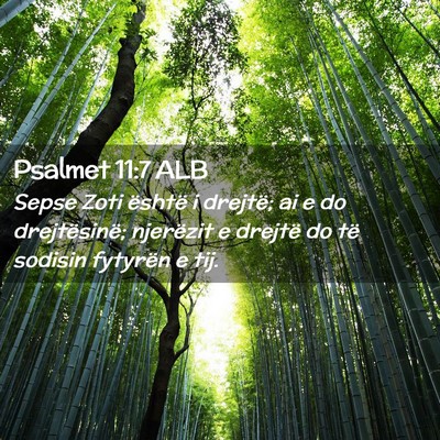 Picture 02 - Psalmet 11:7 ALB - Sepse Zoti është i drejtë; ai e do - Bible Verse Picture