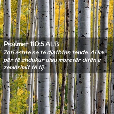 Picture 02 - Psalmet 110:5 ALB - Zoti është në të djathtën tënde. Ai ka për - Bible Verse Picture
