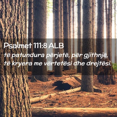 Picture 02 - Psalmet 111:8 ALB - të patundura përjetë, për gjithnjë, të - Bible Verse Picture