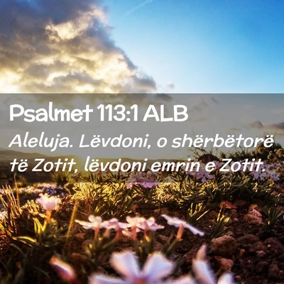 Picture 02 - Psalmet 113:1 ALB - Aleluja. Lëvdoni, o shërbëtorë të Zotit, - Bible Verse Picture