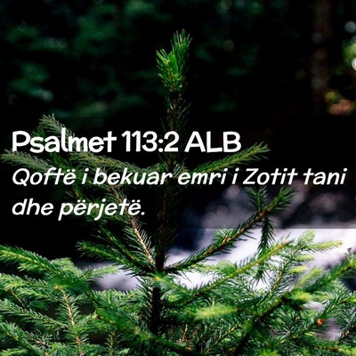 Picture 02 - Psalmet 113:2 ALB - Qoftë i bekuar emri i Zotit tani dhe - Bible Verse Picture