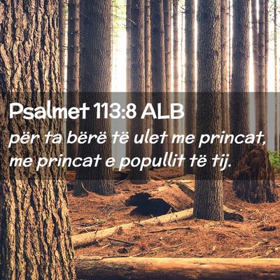 Picture 02 - Psalmet 113:8 ALB - për ta bërë të ulet me princat, me princat e - Bible Verse Picture