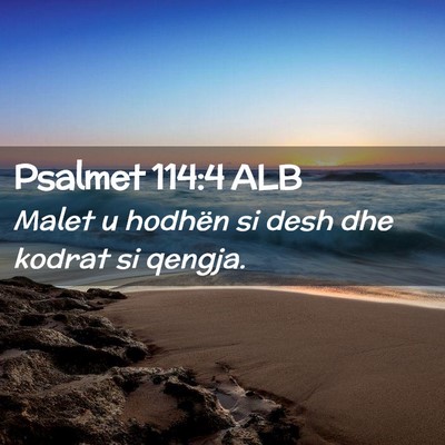 Picture 02 - Psalmet 114:4 ALB - Malet u hodhën si desh dhe kodrat si - Bible Verse Picture