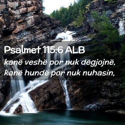 Picture 02 - Psalmet 115:6 ALB - kanë veshë por nuk dëgjojnë, kanë hundë por - Bible Verse Picture