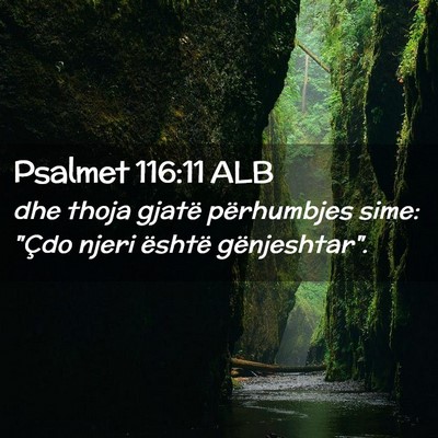 Picture 02 - Psalmet 116:11 ALB - dhe thoja gjatë përhumbjes sime: 