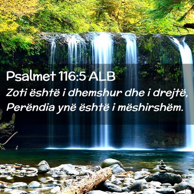 Picture 02 - Psalmet 116:5 ALB - Zoti është i dhemshur dhe i drejtë, Perëndia - Bible Verse Picture