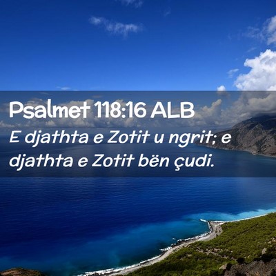 Picture 02 - Psalmet 118:16 ALB - E djathta e Zotit u ngrit; e djathta e Zotit bën - Bible Verse Picture