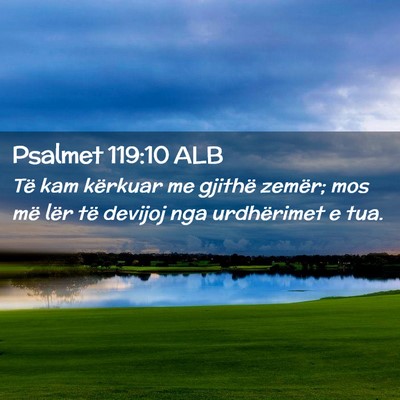 Picture 02 - Psalmet 119:10 ALB - Të kam kërkuar me gjithë zemër; mos më lër - Bible Verse Picture