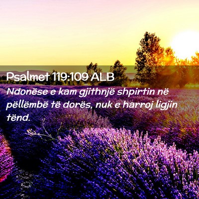 Picture 02 - Psalmet 119:109 ALB - Ndonëse e kam gjithnjë shpirtin në pëllëmbë - Bible Verse Picture