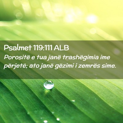 Picture 02 - Psalmet 119:111 ALB - Porositë e tua janë trashëgimia ime përjetë; - Bible Verse Picture