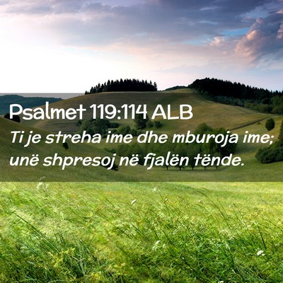 Picture 02 - Psalmet 119:114 ALB - Ti je streha ime dhe mburoja ime; unë shpresoj - Bible Verse Picture