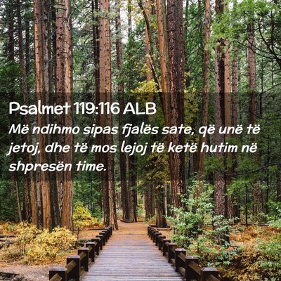 Picture 02 - Psalmet 119:116 ALB - Më ndihmo sipas fjalës sate, që unë të - Bible Verse Picture