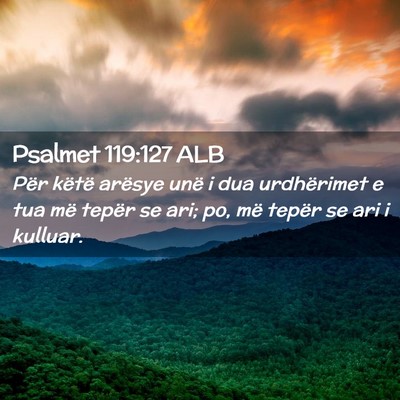 Picture 02 - Psalmet 119:127 ALB - Për këtë arësye unë i dua urdhërimet e tua - Bible Verse Picture