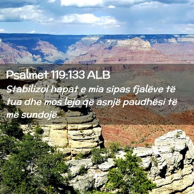 Picture 02 - Psalmet 119:133 ALB - Stabilizoi hapat e mia sipas fjalëve të tua dhe - Bible Verse Picture