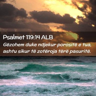 Picture 02 - Psalmet 119:14 ALB - Gëzohem duke ndjekur porositë e tua, ashtu - Bible Verse Picture