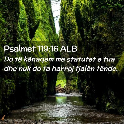 Picture 02 - Psalmet 119:16 ALB - Do të kënaqem me statutet e tua dhe nuk do ta - Bible Verse Picture