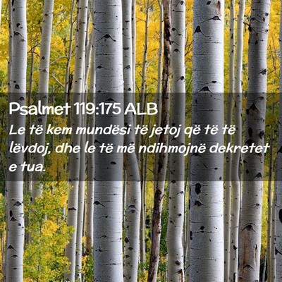 Picture 02 - Psalmet 119:175 ALB - Le të kem mundësi të jetoj që të të - Bible Verse Picture