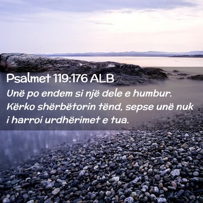 Picture 02 - Psalmet 119:176 ALB - Unë po endem si një dele e humbur. Kërko - Bible Verse Picture
