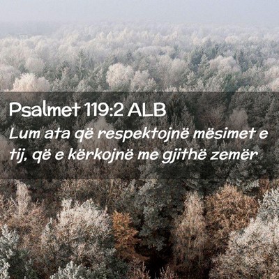 Picture 02 - Psalmet 119:2 ALB - Lum ata që respektojnë mësimet e tij, që e - Bible Verse Picture