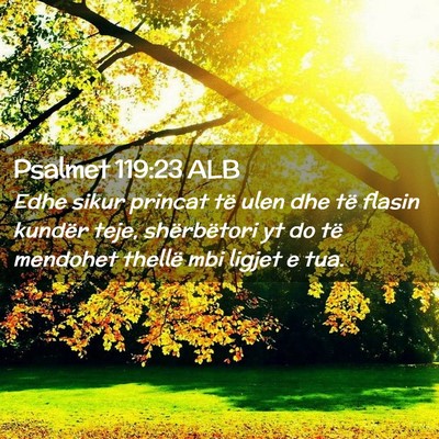 Picture 02 - Psalmet 119:23 ALB - Edhe sikur princat të ulen dhe të flasin - Bible Verse Picture