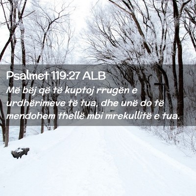 Picture 02 - Psalmet 119:27 ALB - Më bëj që të kuptoj rrugën e urdhërimeve - Bible Verse Picture