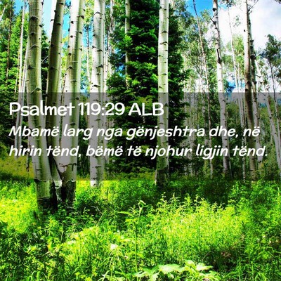 Picture 02 - Psalmet 119:29 ALB - Mbamë larg nga gënjeshtra dhe, në hirin tënd, - Bible Verse Picture
