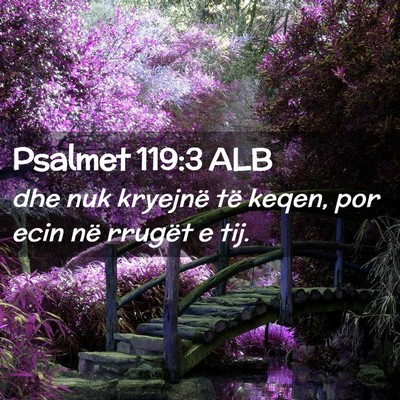 Picture 02 - Psalmet 119:3 ALB - dhe nuk kryejnë të keqen, por ecin në rrugët - Bible Verse Picture