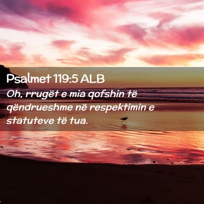 Picture 02 - Psalmet 119:5 ALB - Oh, rrugët e mia qofshin të qëndrueshme në - Bible Verse Picture