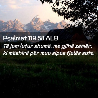 Picture 02 - Psalmet 119:58 ALB - Të jam lutur shumë, me gjihë zemër; ki - Bible Verse Picture