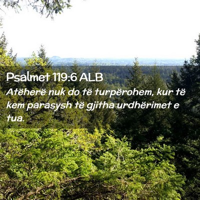 Picture 02 - Psalmet 119:6 ALB - Atëherë nuk do të turpërohem, kur të kem - Bible Verse Picture
