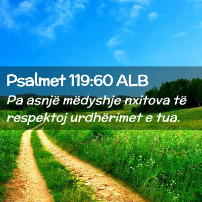 Picture 02 - Psalmet 119:60 ALB - Pa asnjë mëdyshje nxitova të respektoj - Bible Verse Picture