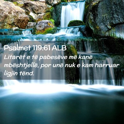Picture 02 - Psalmet 119:61 ALB - Litarët e të pabesëve më kanë mbështjellë, - Bible Verse Picture