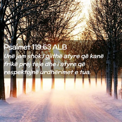 Picture 02 - Psalmet 119:63 ALB - Unë jam shok i gjithë atyre që kanë frikë - Bible Verse Picture