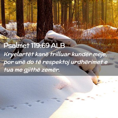 Picture 02 - Psalmet 119:69 ALB - Kryelartët kanë trilluar kundër meje, por unë - Bible Verse Picture