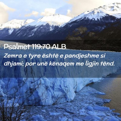 Picture 02 - Psalmet 119:70 ALB - Zemra e tyre është e pandjeshme si dhjami; por - Bible Verse Picture