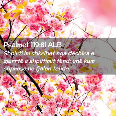 Picture 02 - Psalmet 119:81 ALB - Shpirti im shkrihet nga dëshira e zjarrtë e - Bible Verse Picture