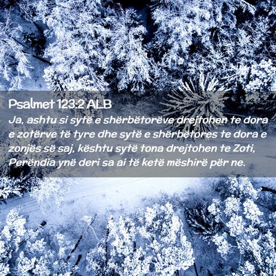 Picture 02 - Psalmet 123:2 ALB - Ja, ashtu si sytë e shërbëtorëve drejtohen te - Bible Verse Picture