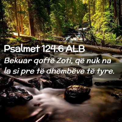 Picture 02 - Psalmet 124:6 ALB - Bekuar qoftë Zoti, që nuk na la si pre të - Bible Verse Picture