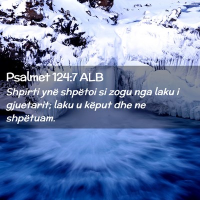 Picture 02 - Psalmet 124:7 ALB - Shpirti ynë shpëtoi si zogu nga laku i - Bible Verse Picture