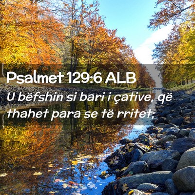 Picture 02 - Psalmet 129:6 ALB - U bëfshin si bari i çative, që thahet para se - Bible Verse Picture