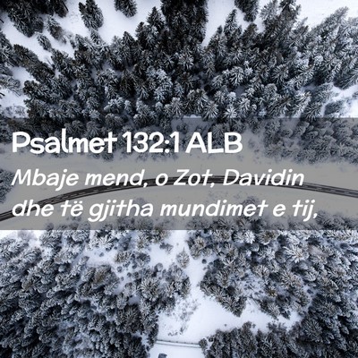 Picture 02 - Psalmet 132:1 ALB - Mbaje mend, o Zot, Davidin dhe të gjitha - Bible Verse Picture
