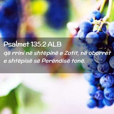 Picture 02 - Psalmet 135:2 ALB - që rrini në shtëpinë e Zotit, në oborret e - Bible Verse Picture