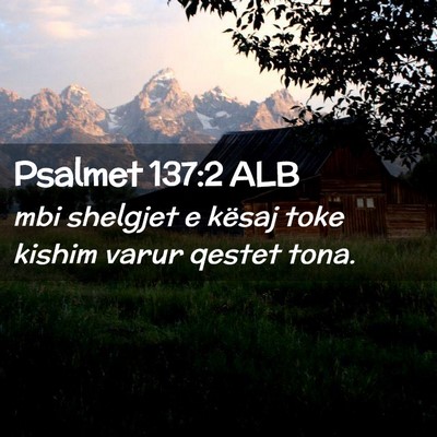 Picture 02 - Psalmet 137:2 ALB - mbi shelgjet e kësaj toke kishim varur qestet - Bible Verse Picture