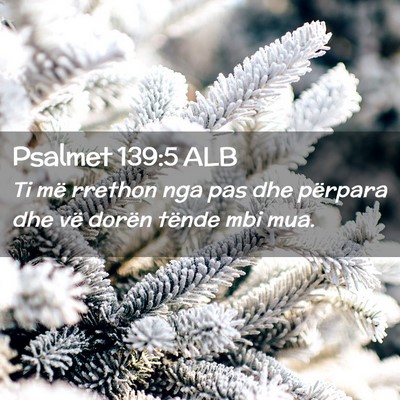 Picture 02 - Psalmet 139:5 ALB - Ti më rrethon nga pas dhe përpara dhe vë - Bible Verse Picture